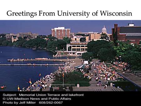 Project Team: Mary Ellen Murray, PH.D, RN Paula Jarzemsky, MS, RN Diana Girdley, MS, RN Steve Douglas, MS, RN Greetings From University of Wisconsin.