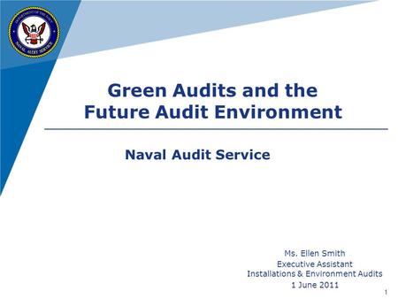 Future Audit Environment