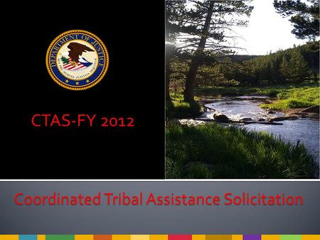 CTAS-FY 2012 Coordinated Tribal Assistance Solicitation.