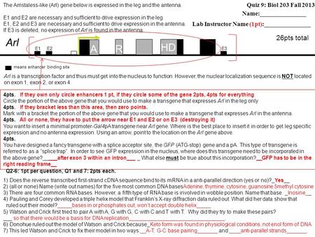 Name:_______________ Quiz 9: Biol 203 Fall 2013 Lab Instructor Name (1pt):_______________ 26pts total A HD R Arl E1E2E3 4pts. If they own only circle enhancers.