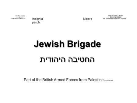 Jewish Brigade החטיבה היהודית Part of the British Armed Forces from Palestine (now Israel) Insignia Sleeve patch.