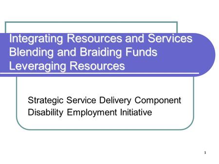 Strategic Service Delivery Component Disability Employment Initiative