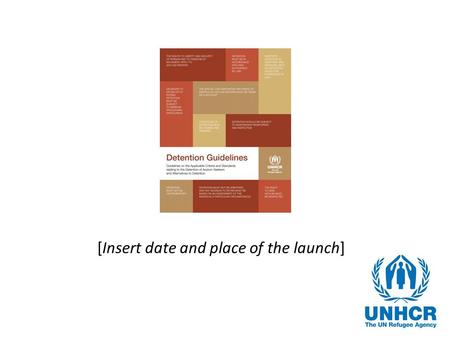 [Insert date and place of the launch]. 2 [Add Regional/National] Overview Detention is a global challenge. There is no empirical evidence that the use.