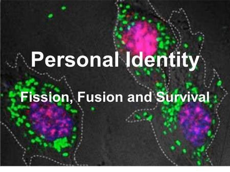 Personal Identity Fission, Fusion and Survival. What Matters for Survival? “Surviving” in the memory of others? Having your good deeds live after you?