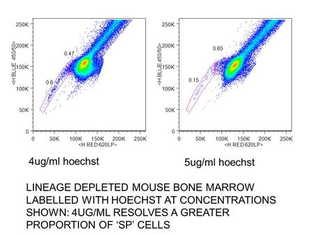 050K100K150K200K250K 0 50K 100K 150K 200K 250K 0.47 0.6 050K100K150K200K250K 0 50K 100K 150K 200K 250K 0.65 0.15 4ug/ml hoechst 5ug/ml hoechst LINEAGE.