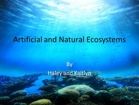 Artificial and Natural Ecosystems By Haley and Kaitlyn.