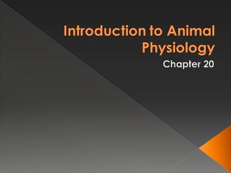 Introduction to Animal Physiology