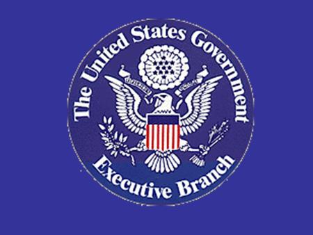 The President The Executive Branch Powers listed in Article II Main duty: Enforce Laws Includes: The President Vice-President President’s Cabinet Elected.