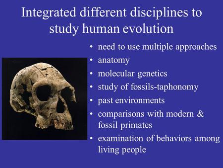 Integrated different disciplines to study human evolution need to use multiple approaches anatomy molecular genetics study of fossils-taphonomy past environments.