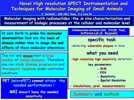 F. Garibaldi - ISS-NIH, Rome, 4-6 June 06
