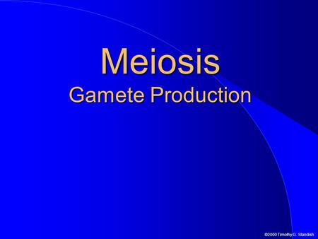 Meiosis Gamete Production