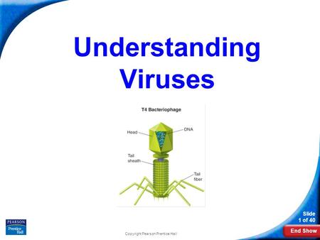 Understanding Viruses