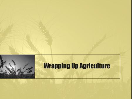 Wrapping Up Agriculture. Aim: How do land survey systems help us organize space? Do Now: Imagine you are riding in an airplane (window seat) travelling.