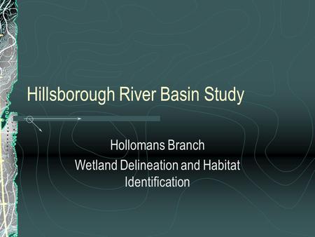 Hillsborough River Basin Study Hollomans Branch Wetland Delineation and Habitat Identification.