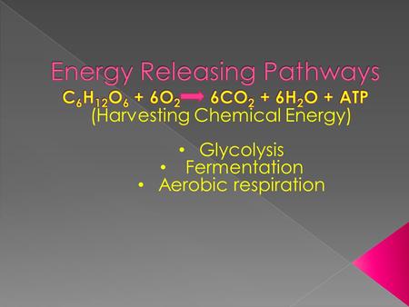 (Harvesting Chemical Energy) Glycolysis Fermentation Aerobic respiration.