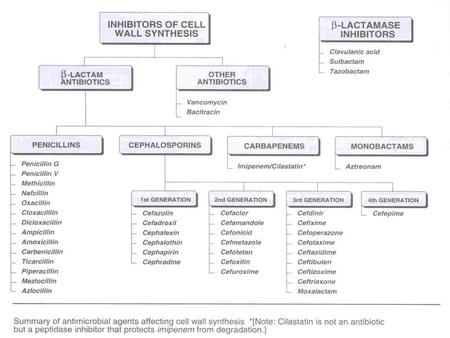 CARBAPENEMS e.g. Imipenem / Cilastatin Meropenem