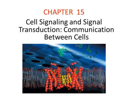 Cell Signaling and Signal Transduction: Communication Between Cells