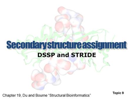 Secondary structure assignment