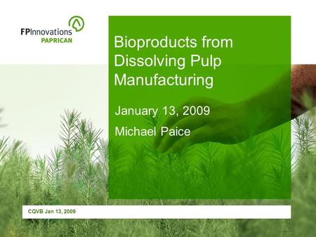 CQVB Jan 13, 2009 Bioproducts from Dissolving Pulp Manufacturing January 13, 2009 Michael Paice.