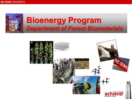 Bioenergy Program Department of Forest Biomaterials.