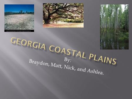 By: Braydon, Matt, Nick, and Ashlea.  Georgia Coastal Plains- Slide 1  Table of Contents- Slide 2  The Wet Lands (Okefenokee)- Slide 3  Coastal Plains.