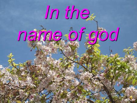 1 In the name of god In the name of god 2 Viscoelastics It is better to term them Ophthalmic Viscosurgical Device OVDS Dr.sayyed ezatollah memarzadeh.