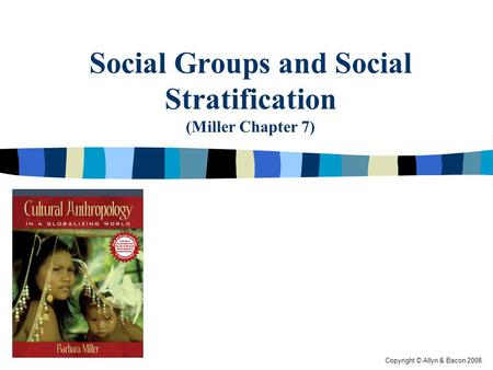 Social Groups and Social Stratification (Miller Chapter 7)