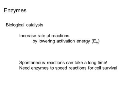 Enzymes Biological catalysts Increase rate of reactions