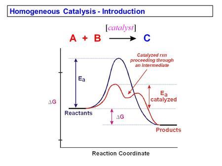 Homogeneous Catalysis - Introduction