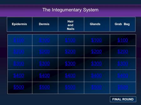 The Integumentary System $100 $200 $300 $400 $500 $100$100$100 $200 $300 $400 $500 Epidermis FINAL ROUND Dermis Hair and Nails Glands Grab Bag.