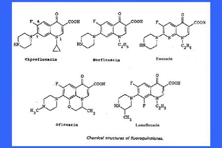 ANTIBACTERIAL ACTIVITY Wide spectrum of activity vs aerobic bacteria. Wide spectrum of activity vs aerobic bacteria. Newer 3 rd and 4 th generation.