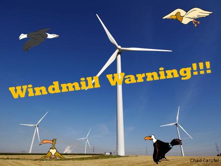 Windmill Warning!!! Chad Carufel Green Energy Has Its Ugly Costs Bird Mortality Noise Pollution Human/Property Danger Scenery Implications.