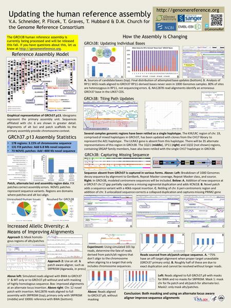 Updating the human reference assembly V.A. Schneider, P. Flicek, T. Graves, T. Hubbard & D.M. Church for the Genome Reference Consortium