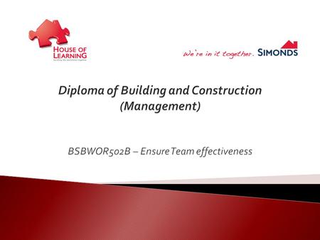 BSBWOR502B Ensure Team Effectiveness