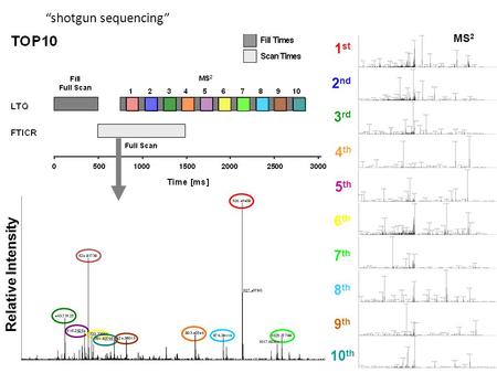 1 st MS 2 2 nd 3 rd 4 th 5 th 6 th 10 th 9 th 8 th 7 th Relative Intensity Fill Times Scan Times “shotgun sequencing”