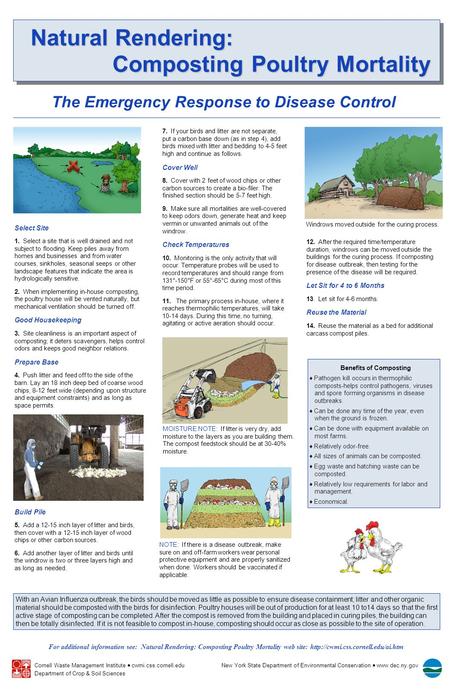 Natural Rendering: Natural Rendering: Composting Poultry Mortality Composting Poultry Mortality Benefits of Composting ♦ Pathogen kill occurs in thermophilic.