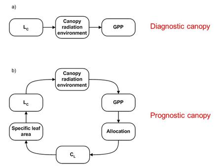 Diagnostic canopy Prognostic canopy. Offline results: Combined influence of sun/shade and prognostic canopy scheme, compared to CLM3.0. CLM3-CN running.