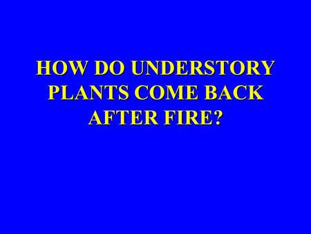 HOW DO UNDERSTORY PLANTS COME BACK AFTER FIRE?.