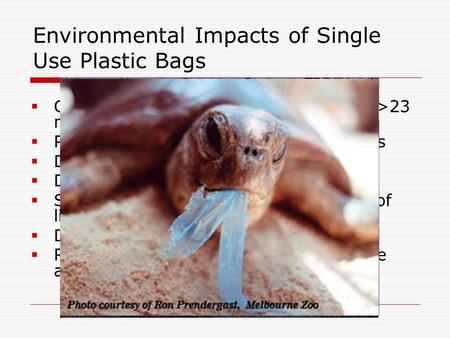 Environmental Impacts of Single Use Plastic Bags  Consumed in extremely high volumes (>23 million per year in SM)  Produced from non-renewable resources.