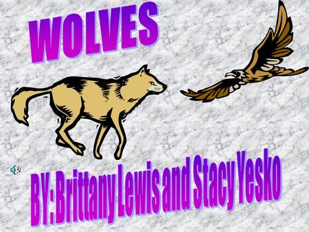 An alpha female and male is the head female and male of the pack. Also the alpha female and the alpha male are the only ones that are supposed to mate.