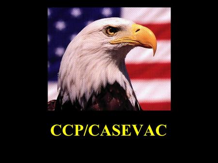 Ca CCP/CASEVAC. Casualty Collection Point (CCP) CASEVAC A/C Loading “Increasing Ranger Survivability”