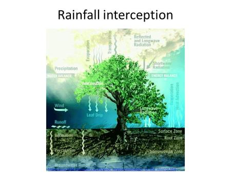 Rainfall interception