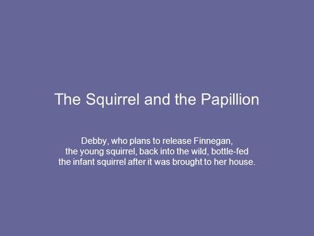 The Squirrel and the Papillion Debby, who plans to release Finnegan, the young squirrel, back into the wild, bottle-fed the infant squirrel after it was.