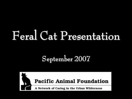 Feral Cat Presentation September 2007. Presented by Lana Simon Carmina Gooch Taylor Wheeler.