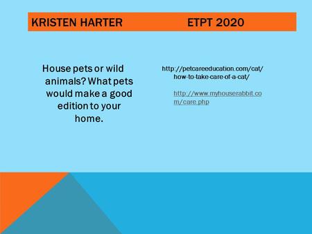 KRISTEN HARTERETPT 2020 House pets or wild animals? What pets would make a good edition to your home.  how-to-take-care-of-a-cat/