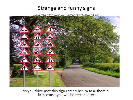 Strange and funny signs As you drive past this sign remember to take them all in because you will be tested later. Researched for your amusement by Will.