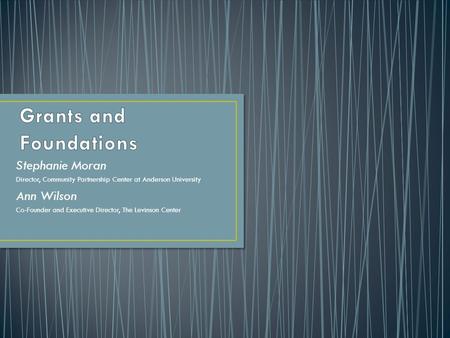 Stephanie Moran Director, Community Partnership Center at Anderson University Ann Wilson Co-Founder and Executive Director, The Levinson Center.