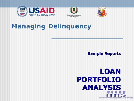 Managing Delinquency Sample Reports LOAN PORTFOLIO ANALYSIS.