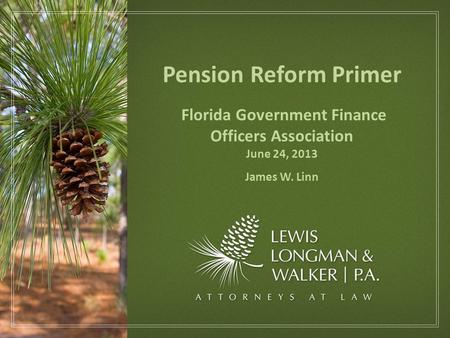 Pension Reform Primer Florida Government Finance Officers Association June 24, 2013 James W. Linn.