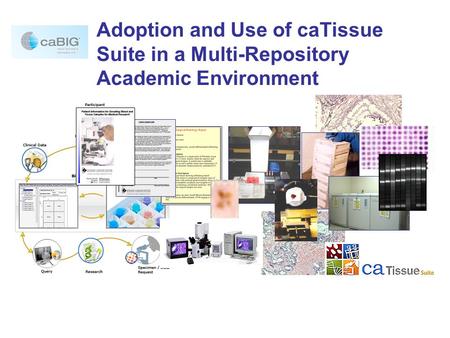 Biospecimen Banking has Evolved Highly Complex Informatics Requirements